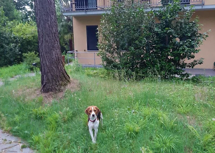 Montegrino Lakeview 3*