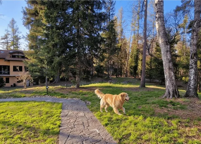 Montegrino Lakeview Hotel 3*