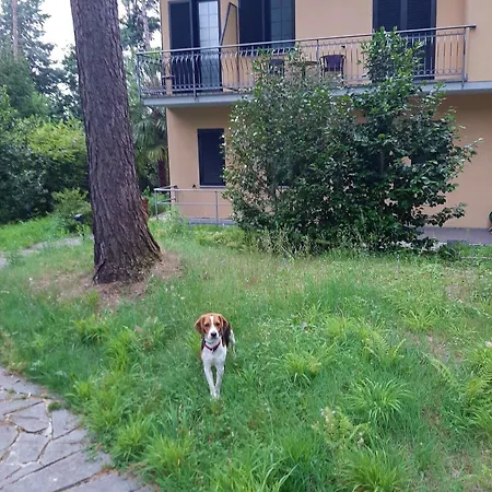 Montegrino Lakeview 3*